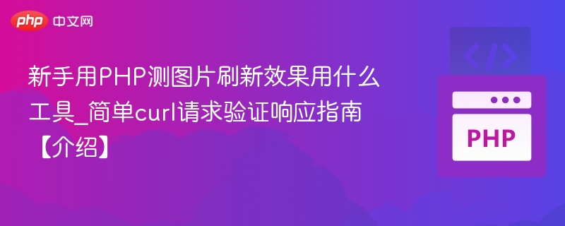 新手用PHP测图片刷新效果用什么工具_简单curl请求验证响应指南【介绍】