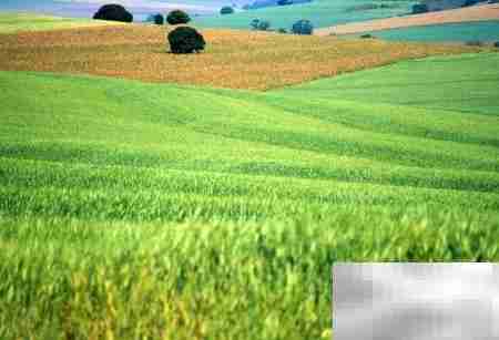 农业APP功能开发指南