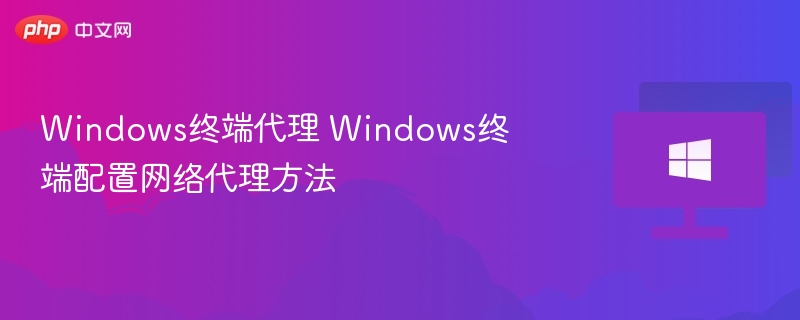 Windows终端代理 Windows终端配置网络代理方法