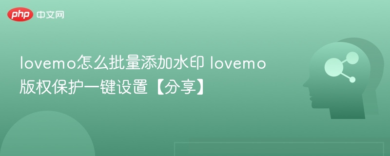 lovemo批量加水印技巧分享