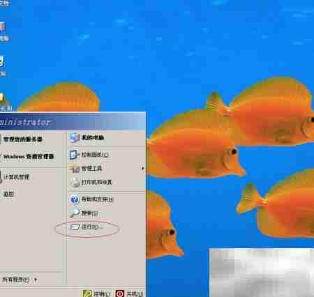 WinServer 2003启用Protected Storage