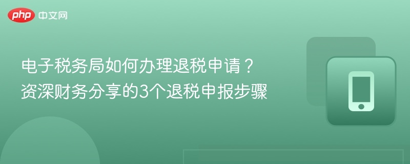 电子税务局如何办理退税申请?资深财务分享的3个退税申报步骤