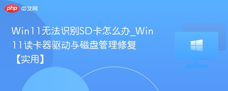 Win11读取SD卡问题解决方法