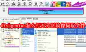 如何用diskgenius打开分区镜像提取文件