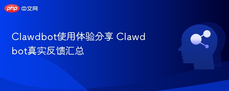 Clawdbot真实使用体验分享