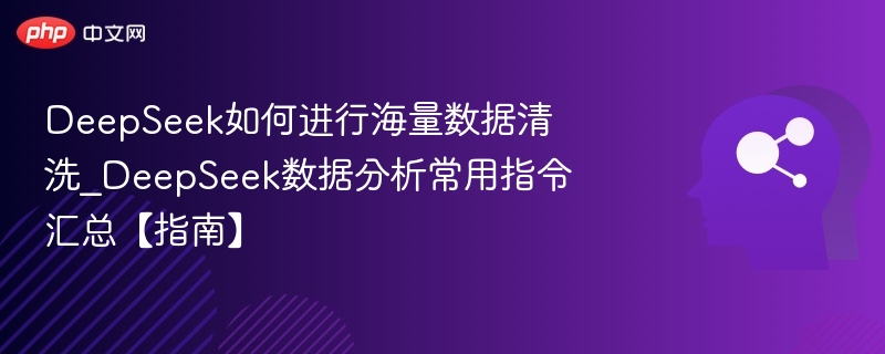 DeepSeek数据清洗分析指令详解