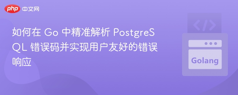 Go语言精准解析PostgreSQL错误码方法