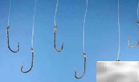 6.0子线直径怎么选？