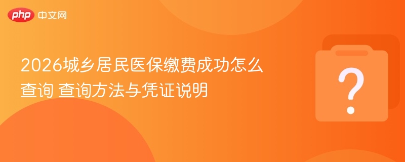 2026城乡居民医保缴费成功怎么查询 查询方法与凭证说明