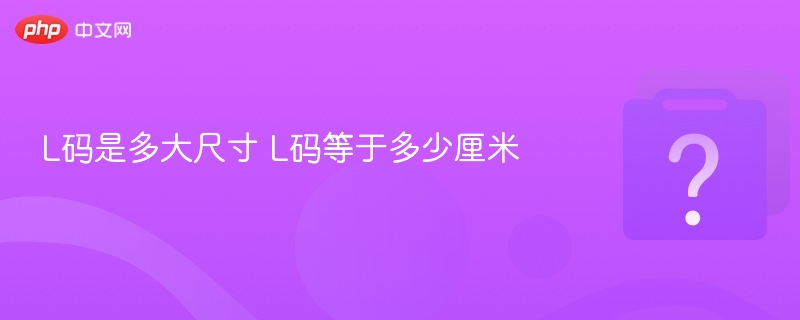 L码尺寸对照与换算详解