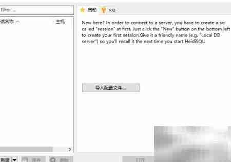 HeidiSQL设置浅色主题教程