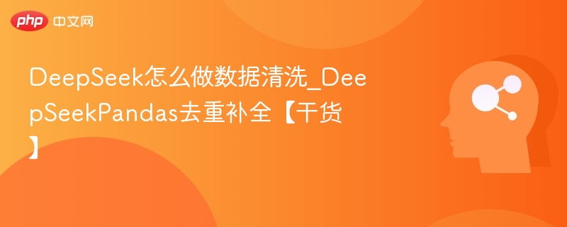 DeepSeek怎么做数据清洗_DeepSeekPandas去重补全【干货】