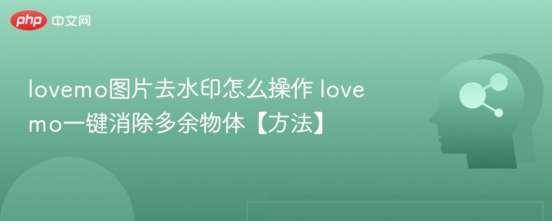 lovemo去水印技巧及物体消除教程
