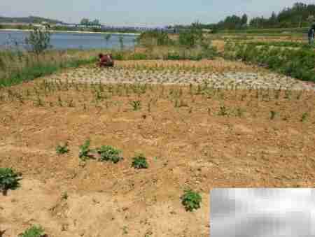 土地流转实践案例精选