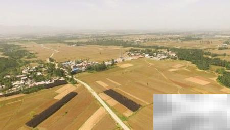 土地流转案例分析与参考