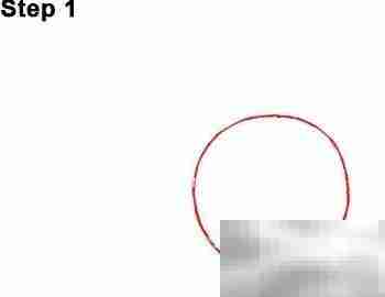 尼莫与加菲的美食绘记