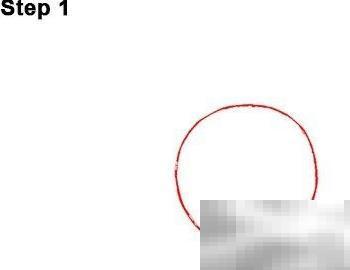 尼莫加菲美食之旅：美味探索全记录