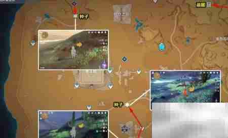 原神苗圃任务全攻略