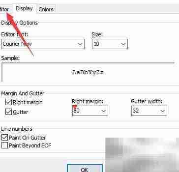 DzSoft PHP Editor设置保持空白