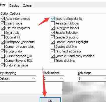 DzSoft PHP Editor设置保持空白