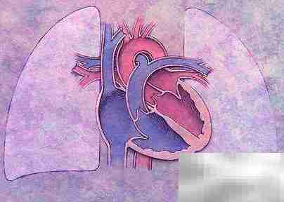 临床执业医师必知重点