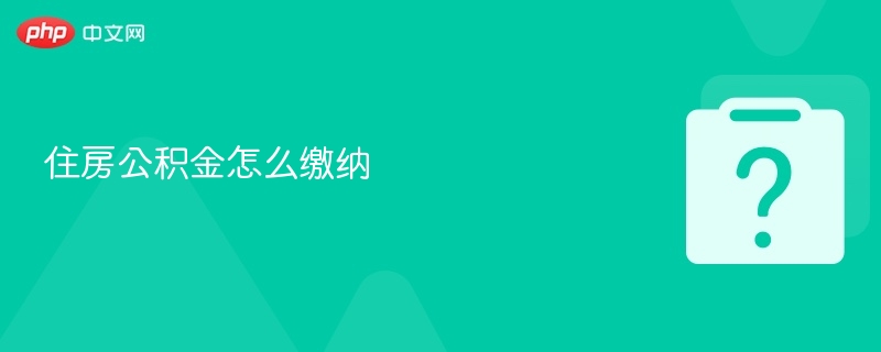 公积金怎么交？新手缴纳全攻略