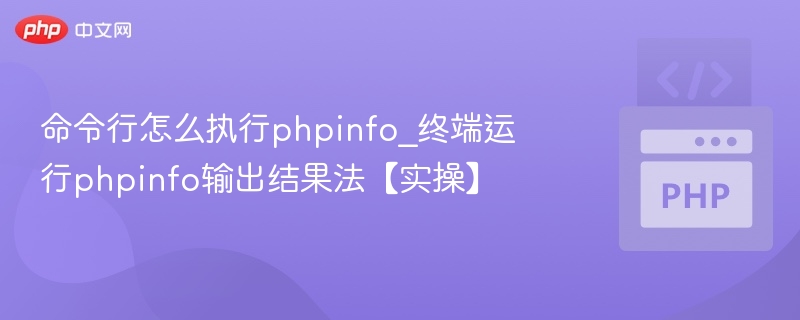 命令行运行phpinfo输出结果方法【实操】