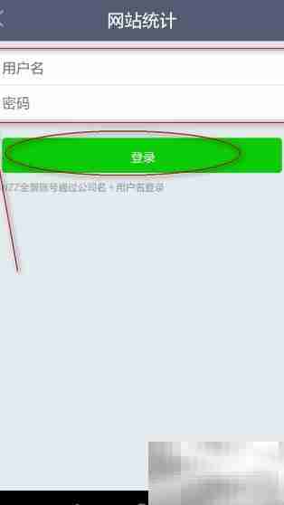 手机端统计网站数据