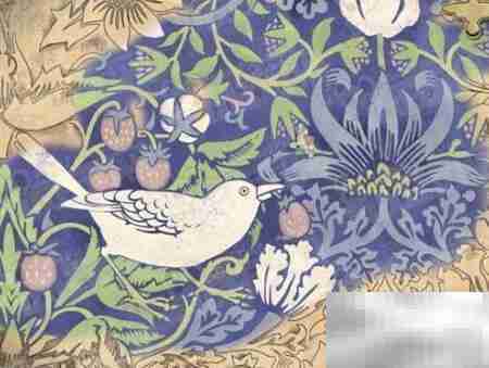 Strawberry Thief：邂逅古典西风