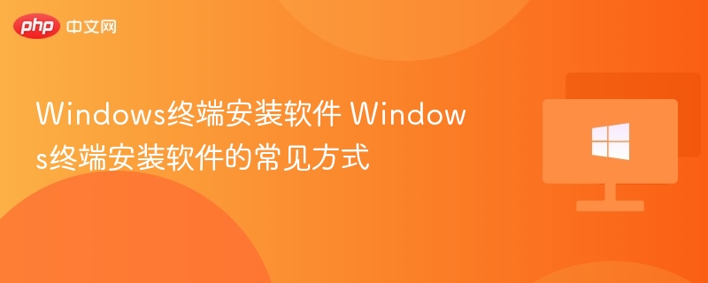 Windows终端安装软件 Windows终端安装软件的常见方式