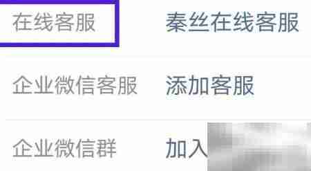 秦丝生意通在线客服联系方式