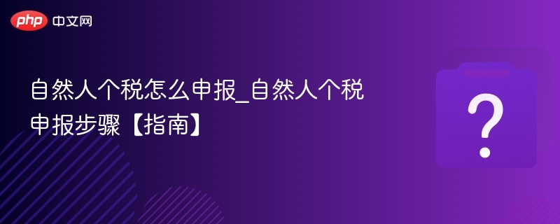 自然人个税申报流程全解析