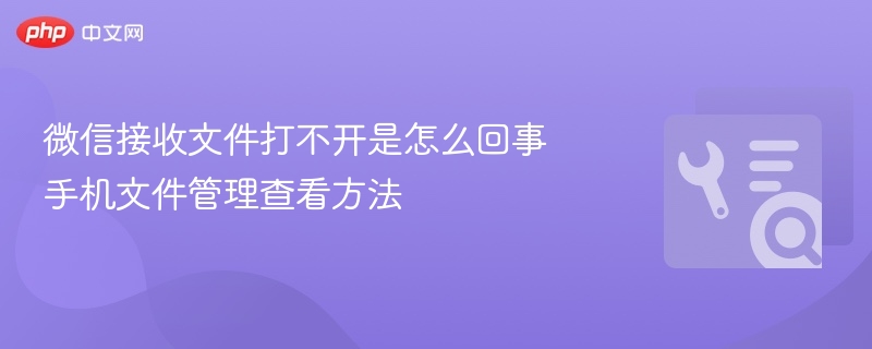 微信文件打不开怎么办？手机管理技巧分享