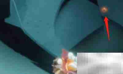 光遇4.21先祖位置速览