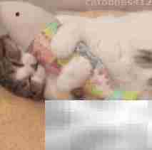 网配圈入门指南