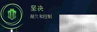 德杯奥恩符文搭配与打法