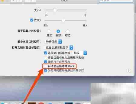 Mac Dock栏消失？一招找回