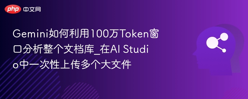 Gemini如何利用100万Token窗口分析整个文档库_在AI Studio中一次性上传多个大文件