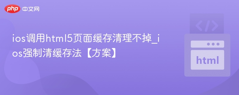 iOSHTML5缓存清理方法及强制清除技巧
