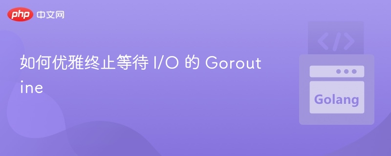 如何优雅终止等待 I/O 的 Goroutine
