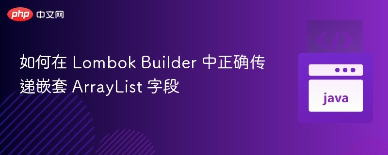 如何在 Lombok Builder 中正确传递嵌套 ArrayList 字段
