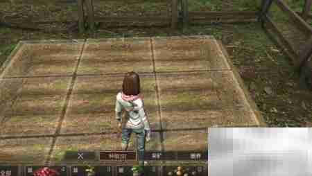 明日之后畜牧获取攻略