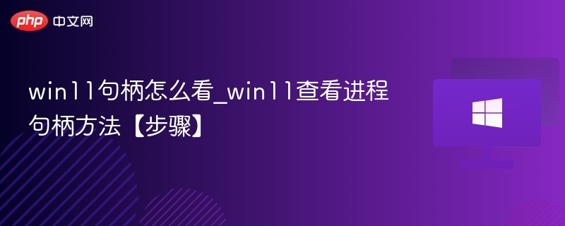 Win11进程句柄查看技巧详解