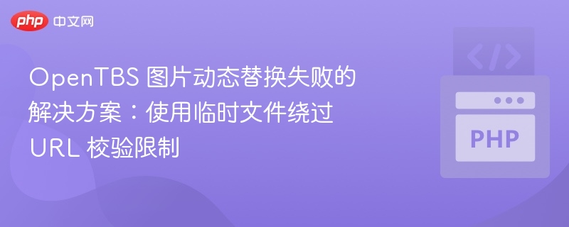 OpenTBS图片替换失败？临时文件解决方法