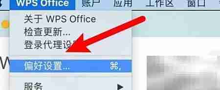 WPS备份文件夹位置指南