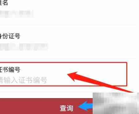 信息处理工程师证书查询