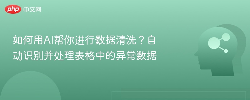 如何用AI帮你进行数据清洗？自动识别并处理表格中的异常数据