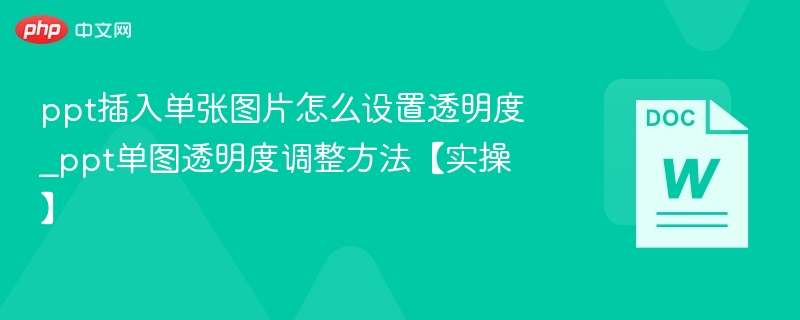 PPT单图透明度怎么调？实操教程