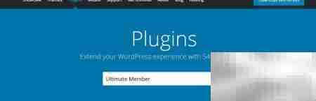 Ultimate Member个人中心功能