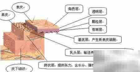超声刀副作用三步解析